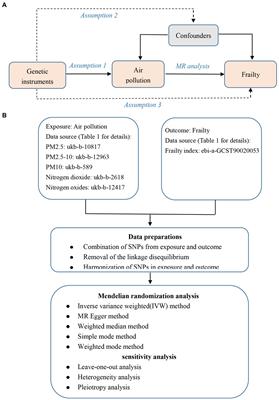 Causal association between air pollution and frailty: a Mendelian randomization study